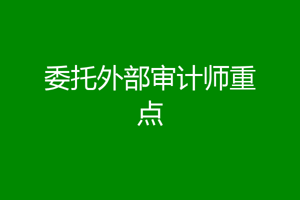 委托外部审计师重点