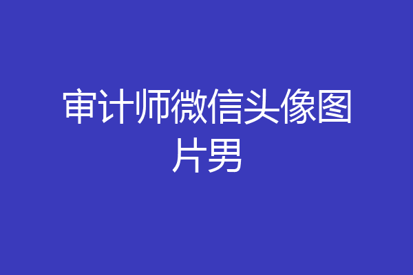 审计师微信头像图片男