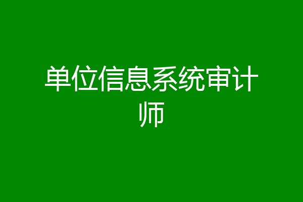 单位信息系统审计师