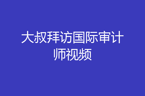大叔拜访国际审计师视频