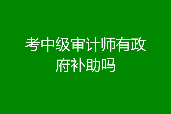 考中级审计师有政府补助吗
