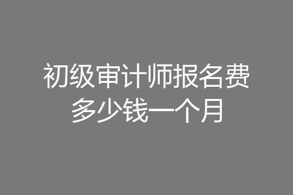 初级审计师报名费多少钱一个月