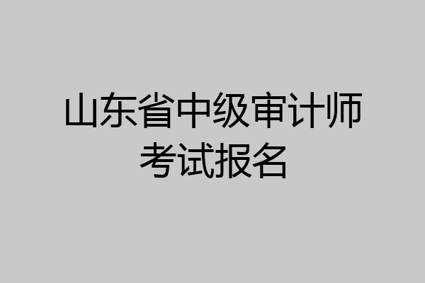 山东省中级审计师考试报名