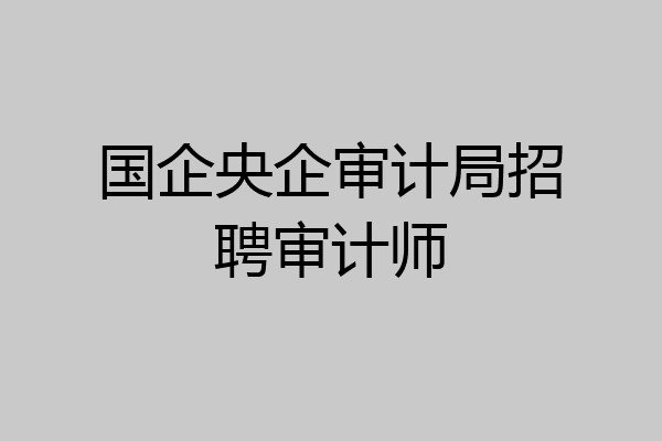 国企央企审计局招聘审计师