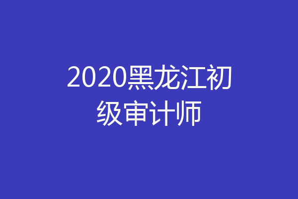 2020黑龙江初级审计师