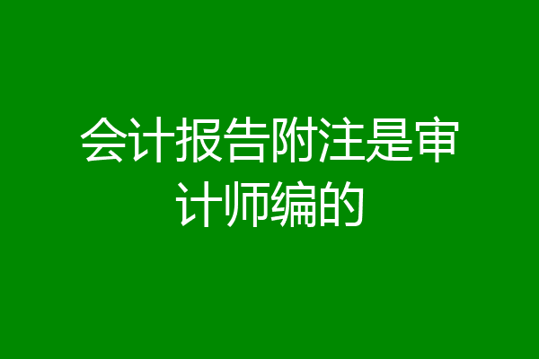 会计报告附注是审计师编的