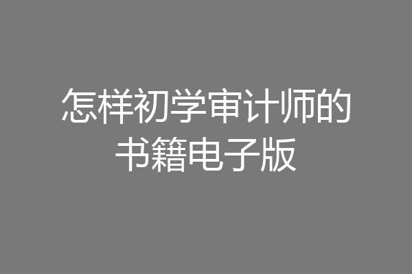 怎样初学审计师的书籍电子版