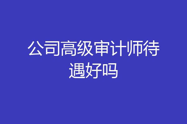 公司高级审计师待遇好吗