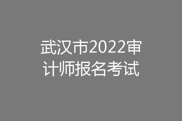 武汉市2022审计师报名考试