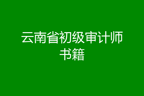云南省初级审计师书籍
