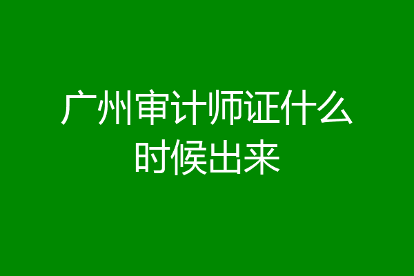 广州审计师证什么时候出来
