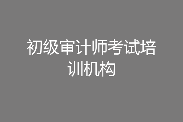 初级审计师考试培训机构