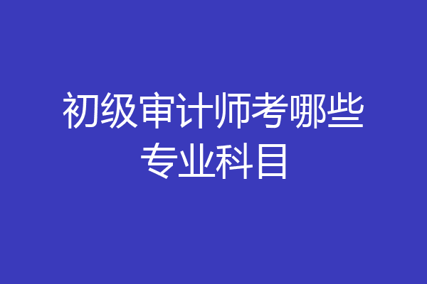 初级审计师考哪些专业科目