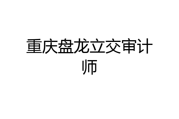 重庆盘龙立交审计师