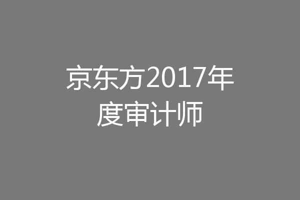 京东方2017年度审计师