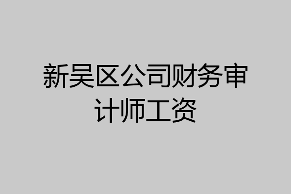 新吴区公司财务审计师工资