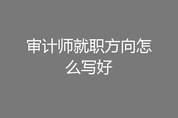 审计师就职方向怎么写好