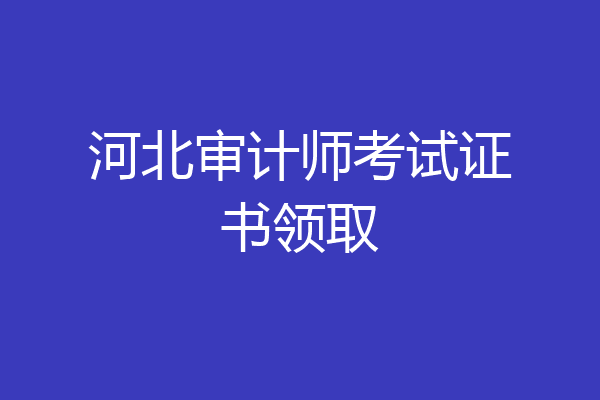 河北审计师考试证书领取