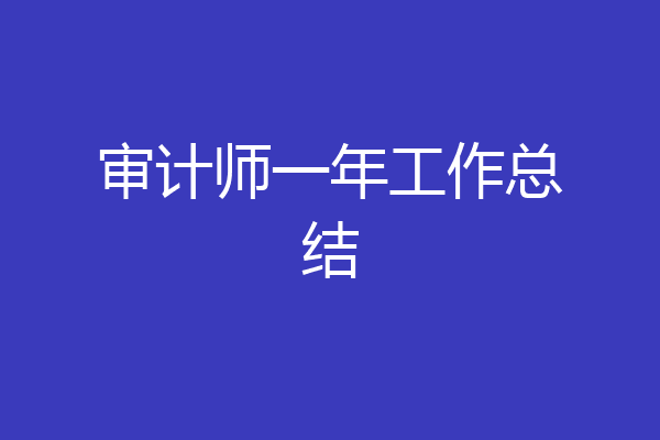 审计师一年工作总结