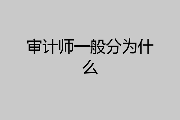审计师一般分为什么