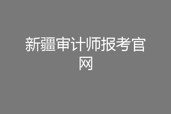 新疆审计师报考官网