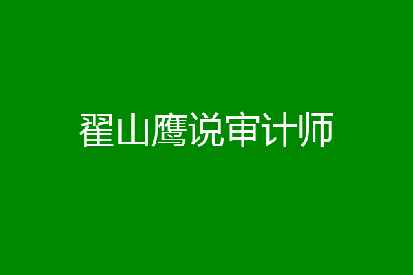 翟山鹰说审计师
