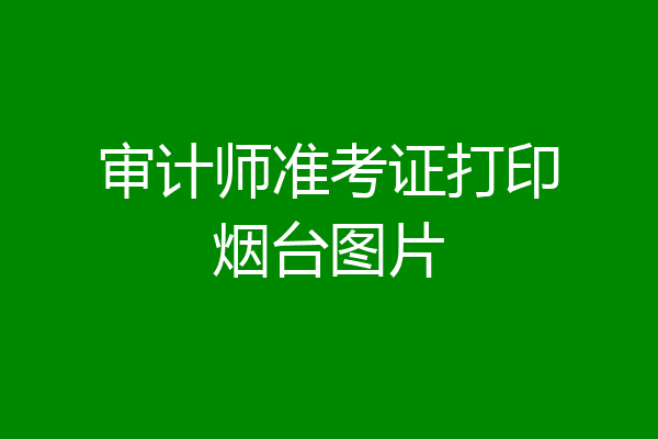 审计师准考证打印烟台图片