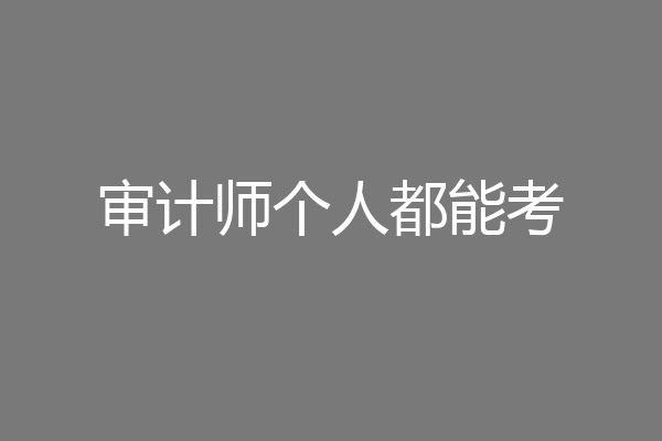 审计师个人都能考