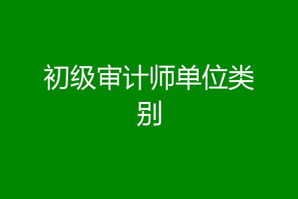 初级审计师单位类别