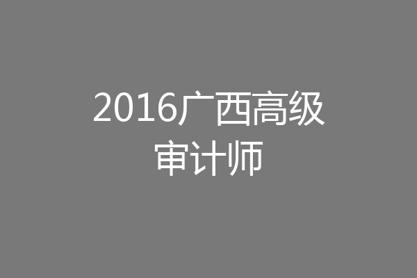 2016广西高级审计师