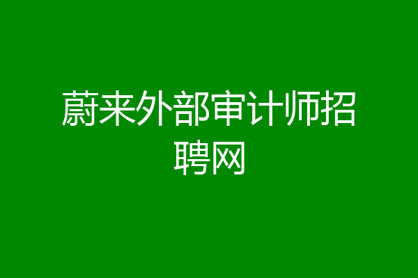 蔚来外部审计师招聘网