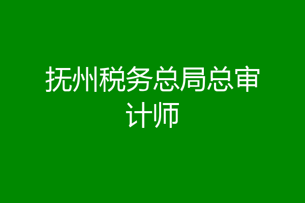 抚州税务总局总审计师