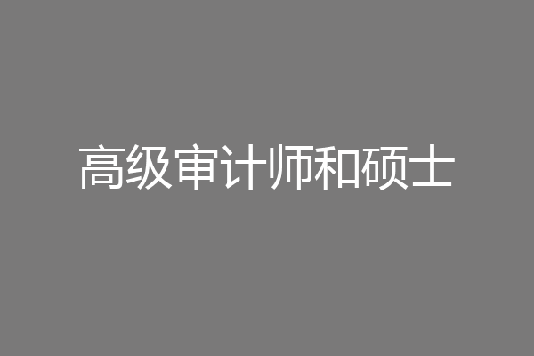 高级审计师和硕士