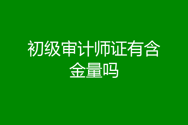 初级审计师证有含金量吗