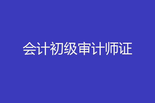 会计初级审计师证