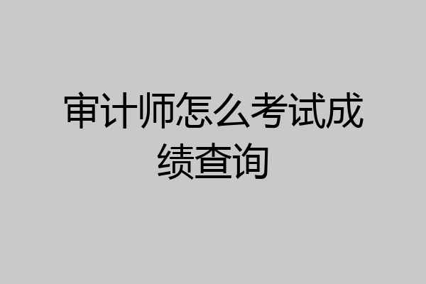 审计师怎么考试成绩查询