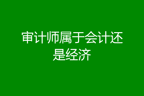 审计师属于会计还是经济
