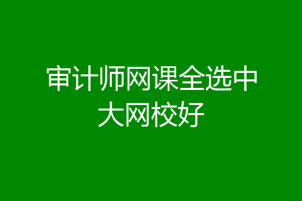 审计师网课全选中大网校好