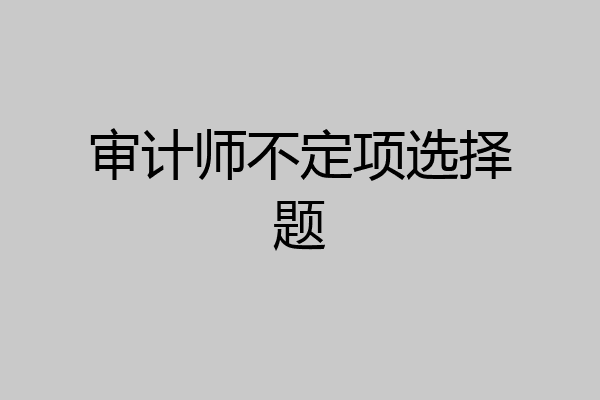 审计师不定项选择题