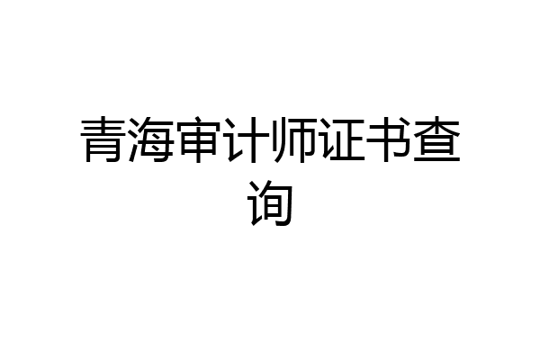 青海审计师证书查询