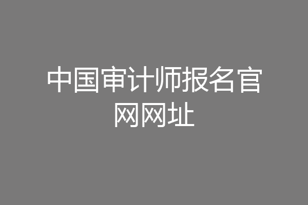 中国审计师报名官网网址