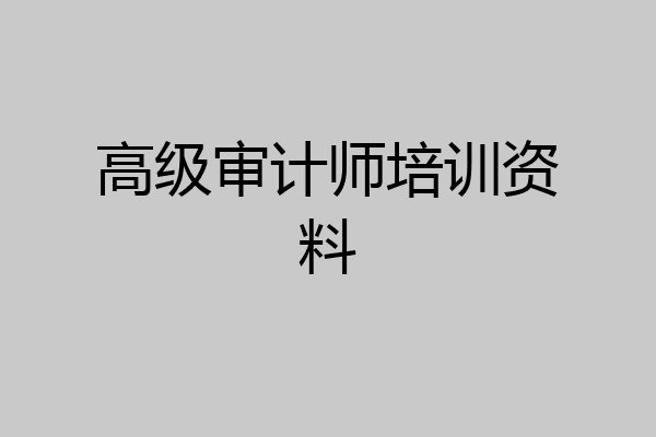 高级审计师培训资料