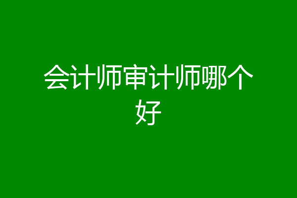 会计师审计师哪个好