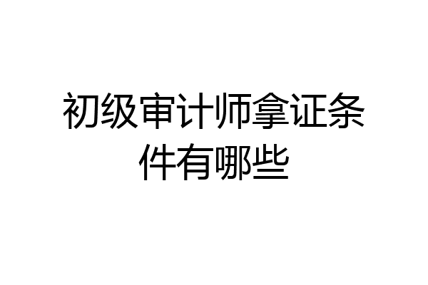 初级审计师拿证条件有哪些