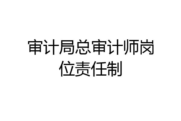 审计局总审计师岗位责任制