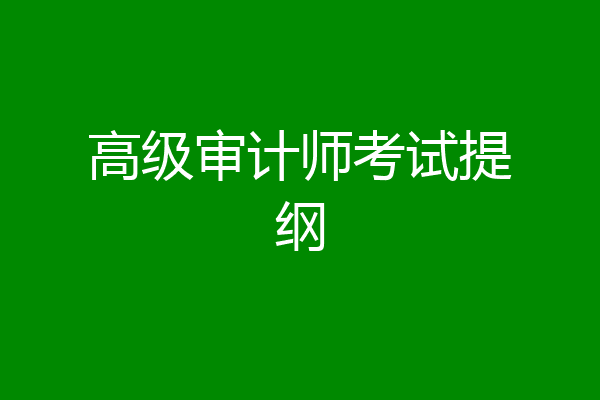 高级审计师考试提纲