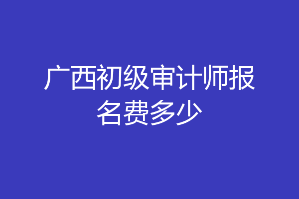 广西初级审计师报名费多少