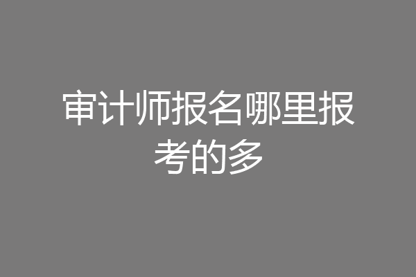 审计师报名哪里报考的多