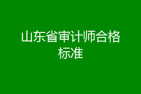 山东省审计师合格标准