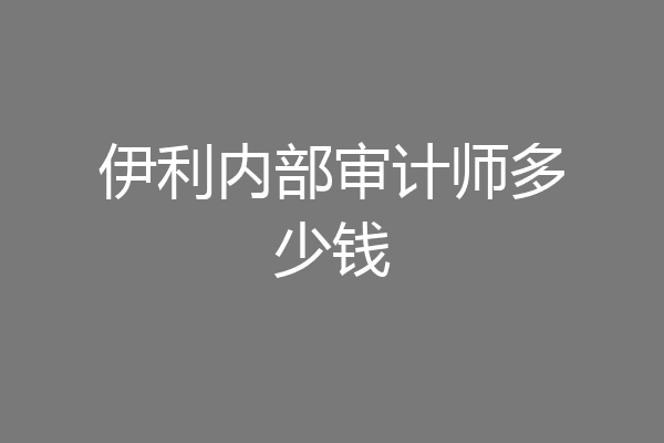 伊利内部审计师多少钱